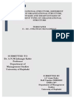 Organizational Structure, Different Types of Organizational Structure, Advantages and Disadvantages of Different Types of Organizational Structure