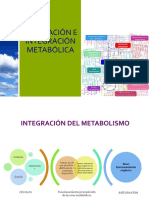 Regulacion e Integracion Metabolica