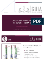 ANATOMIA - Unidad 1 - Tema 2