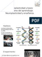 7) Neuroplasticidad y Bases Moleculares Del Aprendizaje