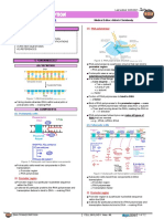 357 - Cell-Biology Physiology) DNA Transcription001