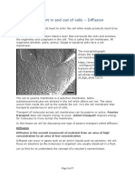 Diffusion Detailed