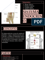 Sistema Endocrino