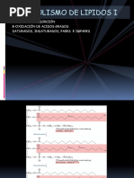 Documento PDF