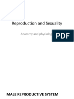 Ana Physio Menstrual Cycle For Students