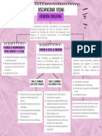 DISCAPACIDAD VISUAL-Atención Educativa