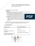 Anatomia A Color