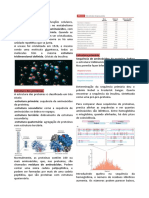 2 - Proteínas