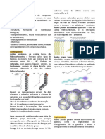 3 - Lipídeos