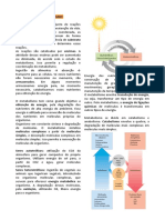 5 - Bioenergética e Metabolismo