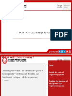 8Cb - Gas Exchange System