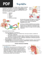 U.11Respiratorio y Embrio