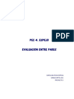 Roca - Espeja - Carolina - Pec4.1 - Proyecto I Evaluacion Entre Pares