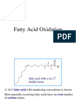 Fatty Acids Metabolism