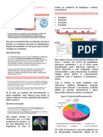 Trastornos Del Neurodesarrollo