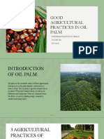 Good Agricultural Practices of Oil Palm Agr182