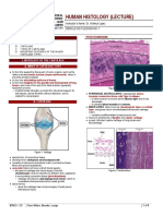 Histology of The Cartilage (Week 7)