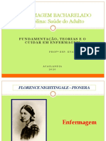 Aula 2 - FundamentaÃ Ã o Teorias e o Cuidar em Enfermagem