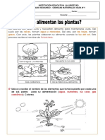 Guía de Las Plantas Alimentación-Respiración