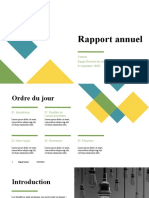 Rapport Annuel