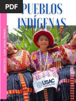 Pueblos Indigenas