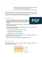 JMS - 1 - Funciones y Estructura de La Piel + Anejos y Manto Hidrolipídico