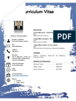 Curriculum Vitae, Kevin Fuentes - 095011