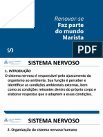 Sistema Nervoso Humano