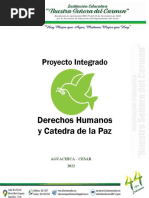 Proyecto Integrado de Cátedra de La Paz y DDHH 2022