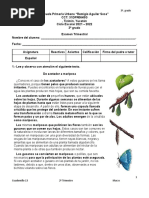 Examen Del 2o. Trimtres de 3o Grado