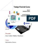 Trabajo Final Informatica Basica