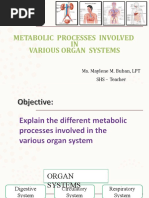 Metabolic Processes in Various Organ Systems