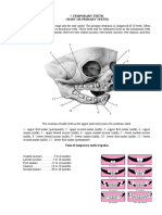 Development of Occlusion