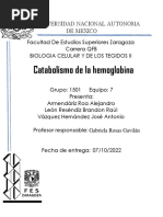 Informe BCT II Catabolismo de La Hemoglobina