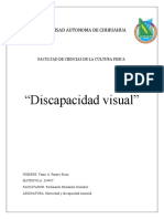 Ensayo de Discapacidad Visual