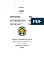 Kelompok 3 - Pirolisis - Praktikum Energi Dan Listrik Pertanian