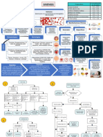 Algoritmo-Anemia y Leucemia