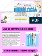 Terminologia