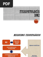 Fisiopatologia Diabetes