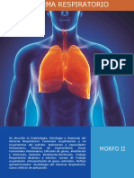 Sistema Respiratorio