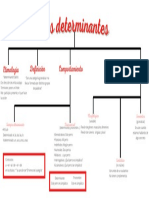 Los Determinantes Esquema