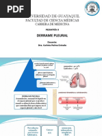 Pae - Derrame Pleural