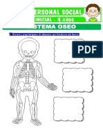 Sistema Oseo para Ninos de Cuatro Anos