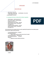 MYOLOGIE