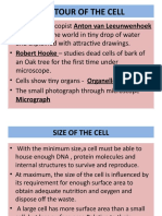 Eukaryotic Cell