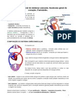 Desgravada T1 Anatomia Cardio