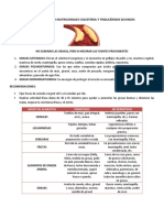 Colesterol y Triglicéridos Elevados