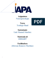 Trabajo Final de Neuropsicologia