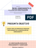 Proceso de Codificacion