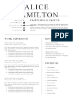 2-Page Resume Template - A4